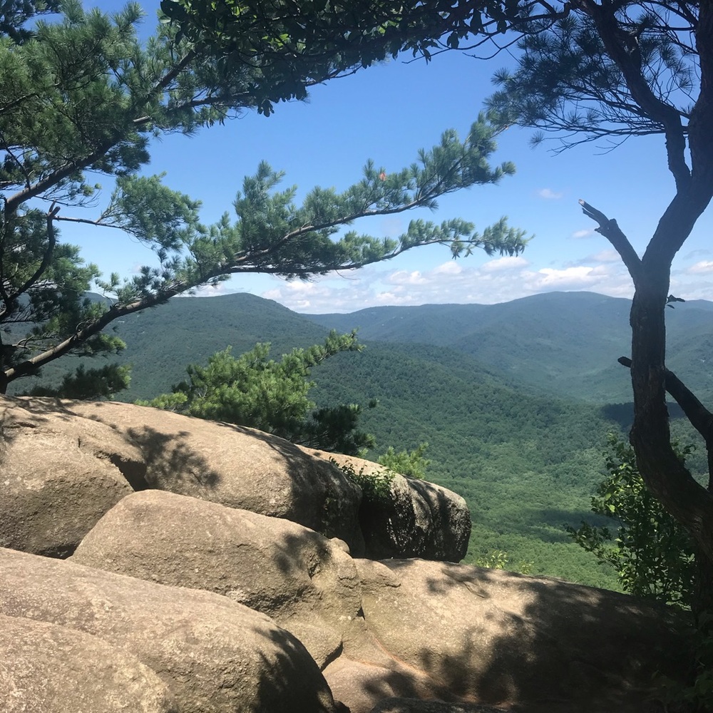 Meet your Posher, Trish